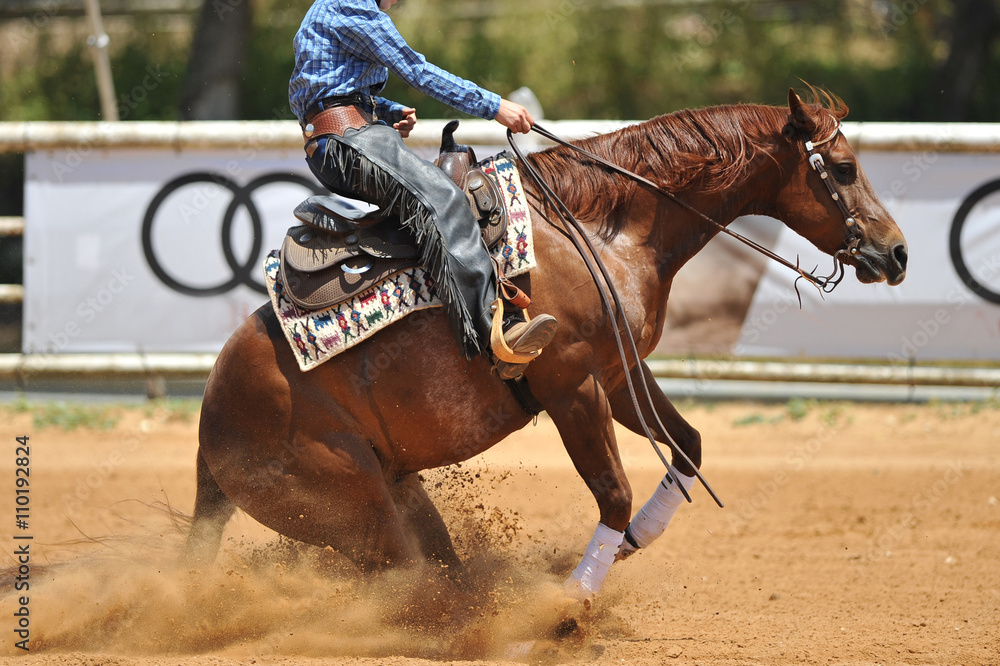 Wall mural The side view of a rider in cowboy chaps and boots on a horseback running ahead in the dust.