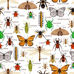 Insects Seamless Pattern