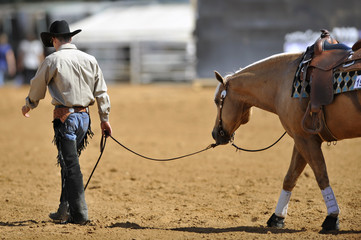 The western style rider with cowboy chaps and hat leads her horse from the field