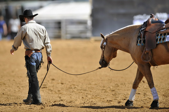 The western style rider with cowboy chaps and hat leads her horse from the field