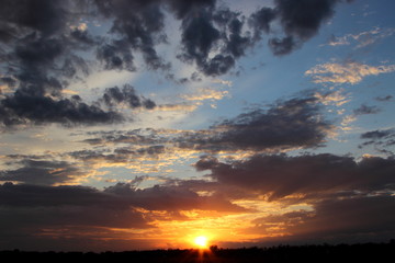 Obraz premium beautiful sunset in the field