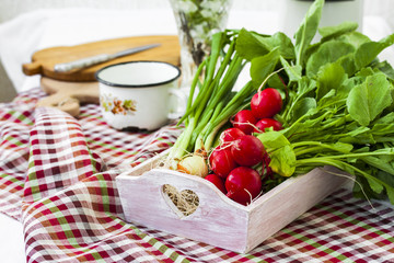 bundle of  bright fresh organic radishes with leaves