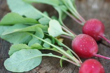 Урожай редиски на деревянном фоне