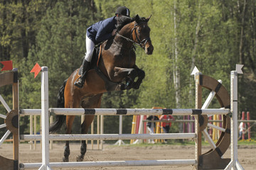 Horse jump a hurdle in a competition