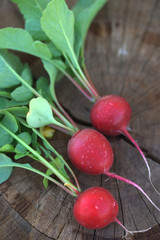 Урожай редиски на деревянном фоне
