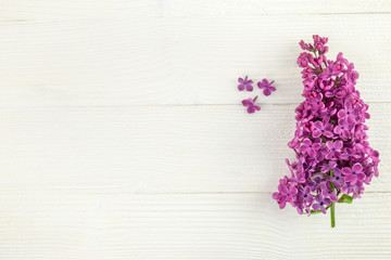 Lilac branch on a rustic wooden background.