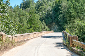 Bridge in the Homtini Pass