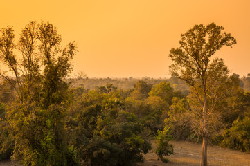 Sunset over the jungle