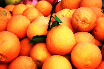 Freshly harvested oranges