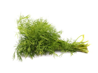 Green dill isolated on white background