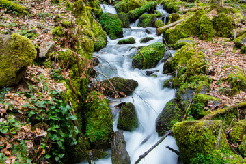 Bachlauf im Schwarzwald / Wehratal