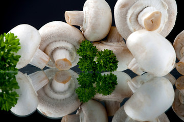 champignon on black background © Olo