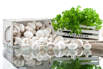 Fototapeta champignon on white background obraz