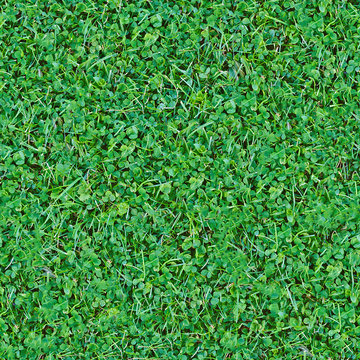Seamless natural green grass mix background