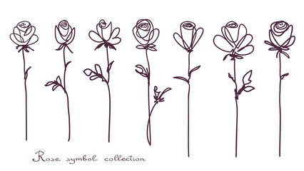 Roses. Collection of isolated rose flower sketch on white background