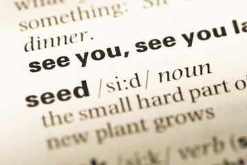 Obraz premium Close up of old English dictionary page with word see you