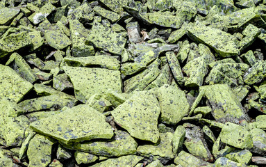 Green mossy stones