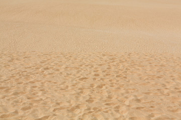 Fototapeta na wymiar Sand patterns after wind on the Nature reserve, Park Natural, Corralejo, Fuerteventura, Canary Islands, Spain.
