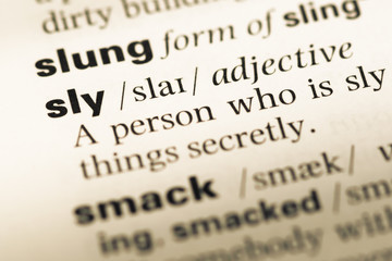 Obraz premium Close up of old English dictionary page with word sly