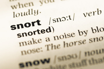 Obraz premium Close up of old English dictionary page with word snort