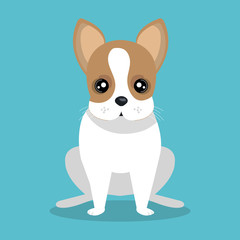 cute dog design 
