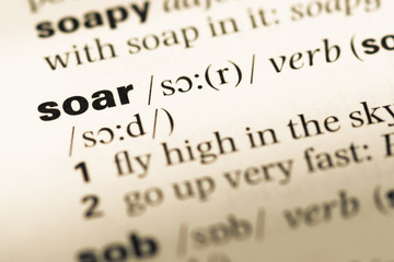 Close up of old English dictionary page with word soar