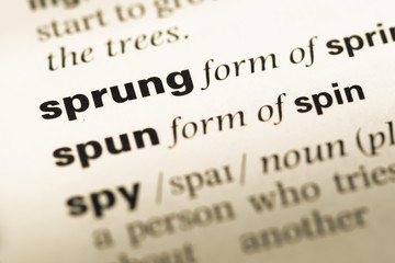 Obraz premium Close up of old English dictionary page with word sprung