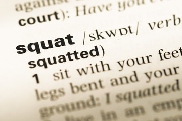 Close up of old English dictionary page with word squat