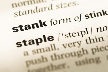 Obraz premium Close up of old English dictionary page with word stank