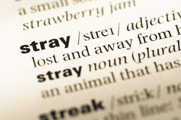 Fototapeta premium Close up of old English dictionary page with word stray