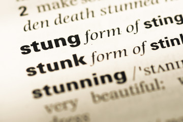 Close up of old English dictionary page with word stung