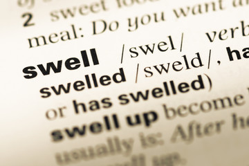 Obraz premium Close up of old English dictionary page with word swell