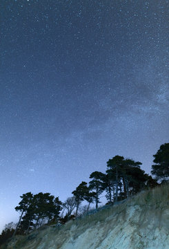 Clear night sky full of stars framed by trees