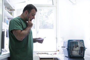 Vet reading a cat's notes