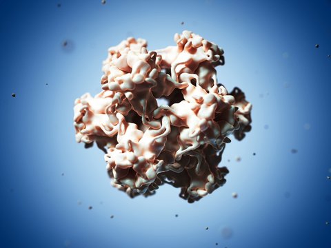 Human Papilloma Virus, Artwork