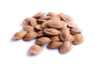 apricot pits - isolated