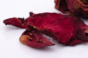 Rose wilts on white background