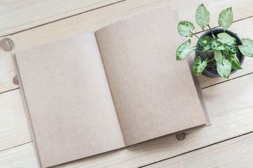 Brown Notebook and plant on wood table background