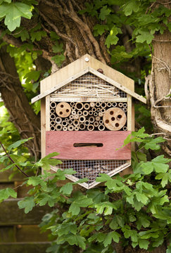 Insectenhotel in boom