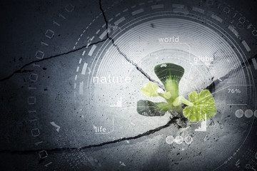 Modern technologies for new life