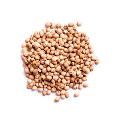 sour cherry pits - isolated