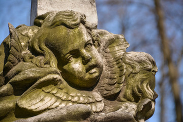 Fototapeta na wymiar in the old cemetery.
