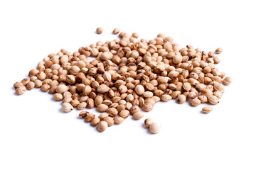 sour cherry pits - isolated