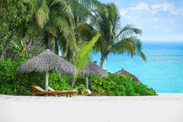 Deck-chairs on the beach under the palm trees.