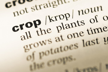 Fototapeta premium Close up of old English dictionary page with word crop