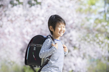 桜と新学期の男の子