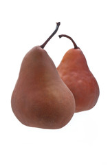 two pears on white.
