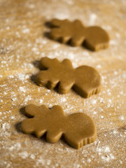 Fototapeta na wymiar close-up shot of gingerbread cookies.