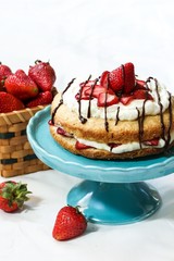 Strawberry Shortcake with fresh strawberries whipped frosting and chocolate drizzle