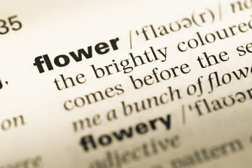 Close up of old English dictionary page with word flower